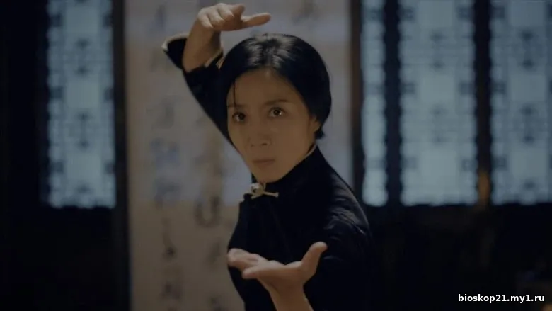 Nonton Film Southern Ip Man: Kung Fu Legend (2026) Subtitle Indonesia 