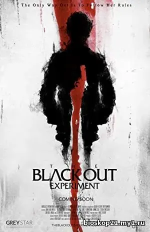 Nonton Film The Blackout Experiment (2021) Subtitle Indonesia